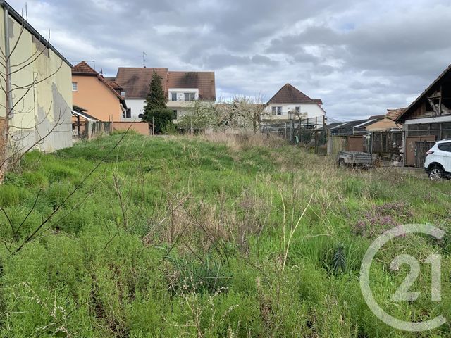 terrain à vendre - 500.0 m2 - ECKWERSHEIM - 67 - ALSACE - Century 21 Absis Immobilier