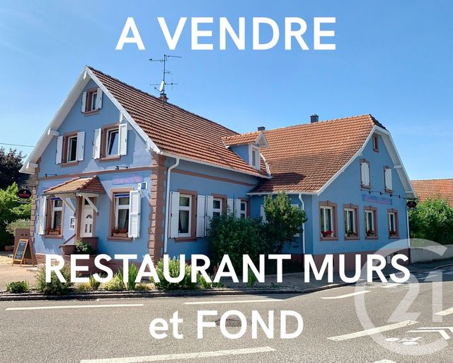 divers à vendre - 500.0 m2 - OFFENDORF - 67 - ALSACE - Century 21 Absis Immobilier