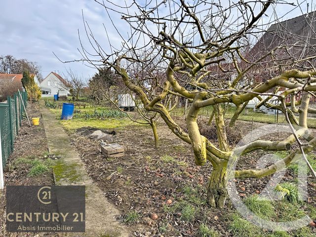 terrain à vendre - 760.0 m2 - MITTELSCHAEFFOLSHEIM - 67 - ALSACE - Century 21 Absis Immobilier